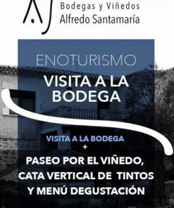 Paseo bodegas y viñedos con Cata vertical de tintos y Degustación Menú