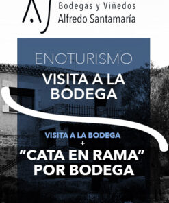 Paseo bodegas y viñedos con Cata en Rama y Degustación