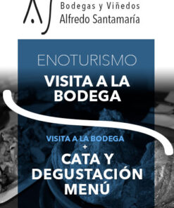 Paseo bodegas y viñedos con Cata y Degustación Menú