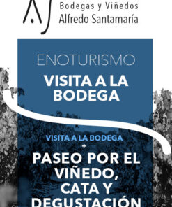 Paseo bodegas y viñedos con Cata/Degustación