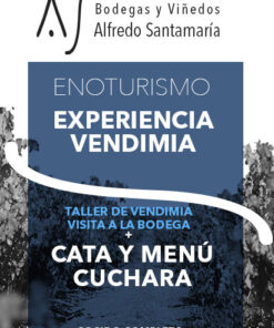 Experiencia Vendimia con Visita a bodegas, Cata y Menú Cuchara